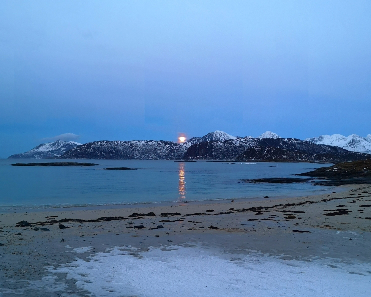 Arktisk fjordtur til Sommarøy og omegn i en liten gruppe