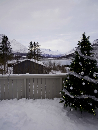 Christmas in Northern Norway