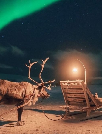 Reindeer sled with Nortern Lights in the background