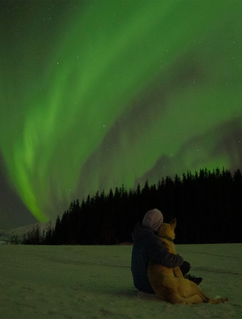 Person hugging a dog while watching the Northern Lights