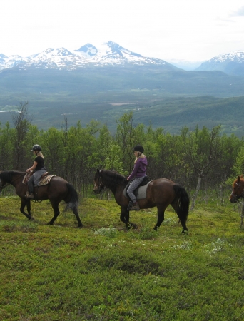 horseback riding in the nature