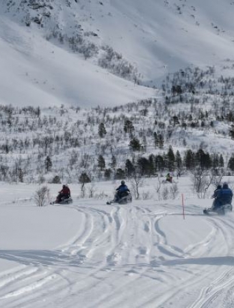 Fem snøscooter i vinterlandsskap