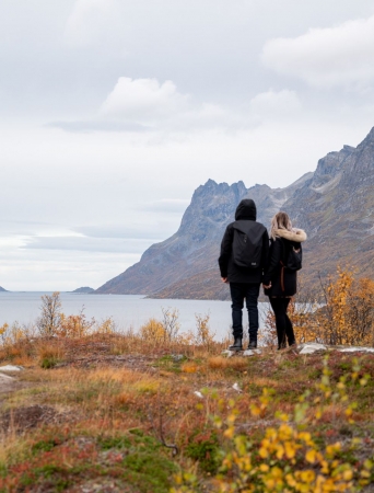 Arktisk kjøretur til Sommarøy med piknik i naturskjønne omgivelser