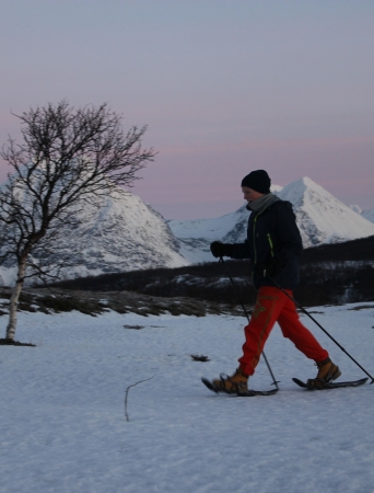 Snowshoeing & Dog Sledding at Breivikeidet