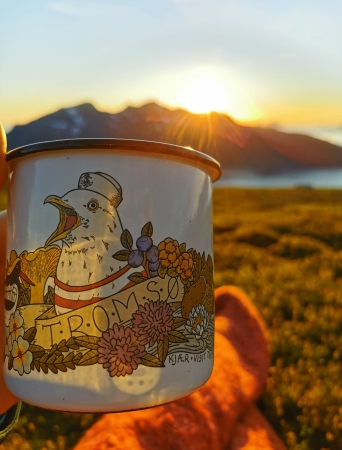 Enamel cup with seagull and seabirds design