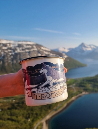 Enamel cup with husky and Northern Lights design