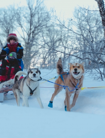 happy huskies pulling a sledge with two guests