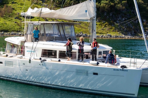 Sail catamaran tour in summer with Arctic Cruise in Norway