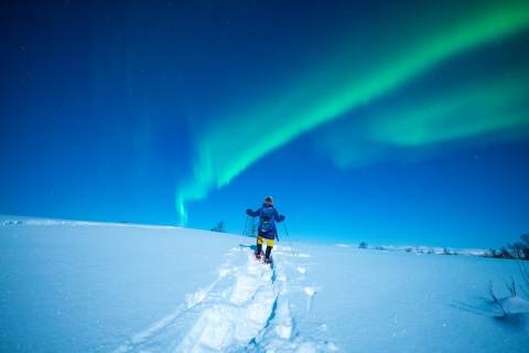Woman snowshoeing watching the Northern Lights
