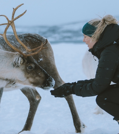 Girl getting close up with reindeer