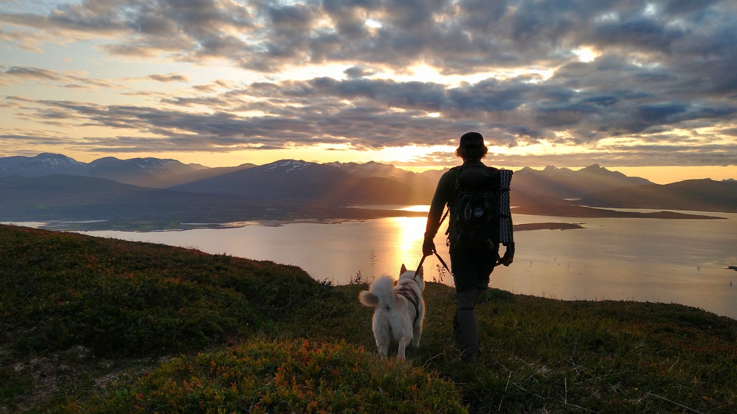 Man and dog walking and enjoying the sunset