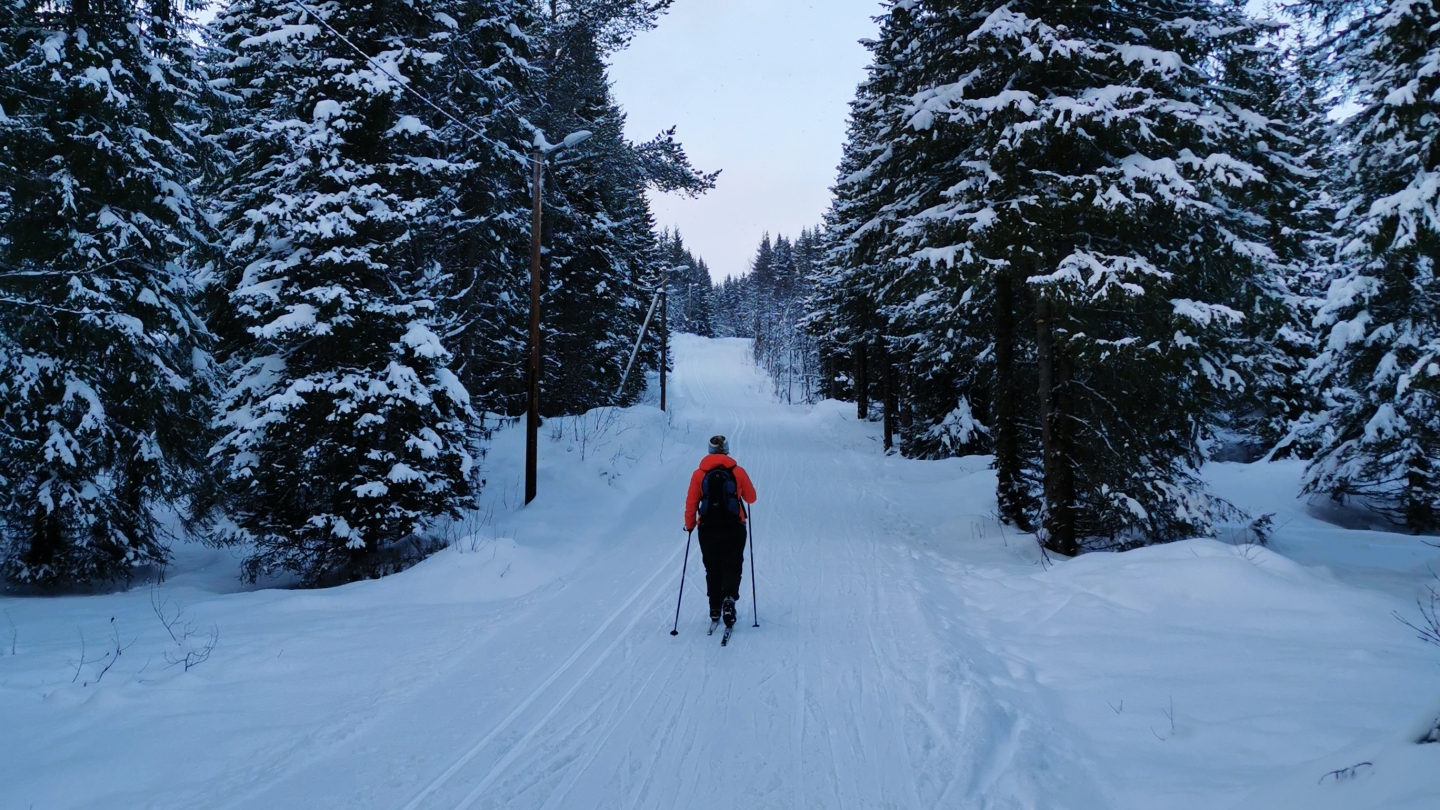 Person cross-country skiing in Tromsø