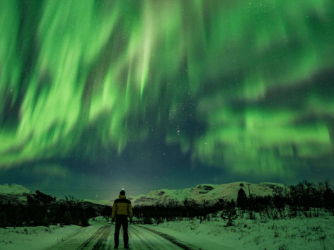 A person under the northern lights