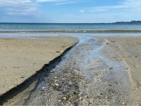 Nærbilde av stranden i Grøtfjord