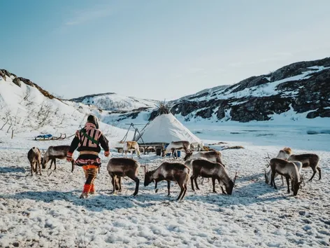Person among reindeer beside a lavvu in a snowy mountain landscape on Kvaløya.