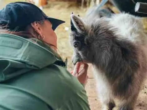 Woman petting a goat on a farm