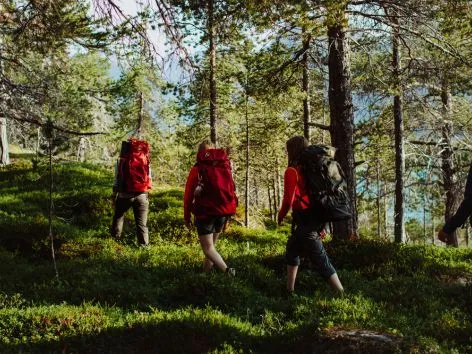 Familie på vandretur i skogen i Tromsøregionen om sommeren