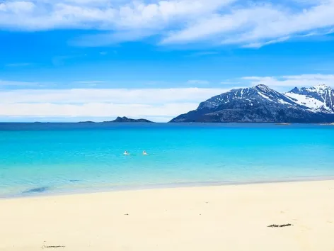 Two persons enjoying a cold swim in the Arctic summer in the Tromso region