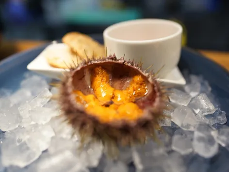 Beautifully plated sea urchin dish at Arctandria in Tromsø