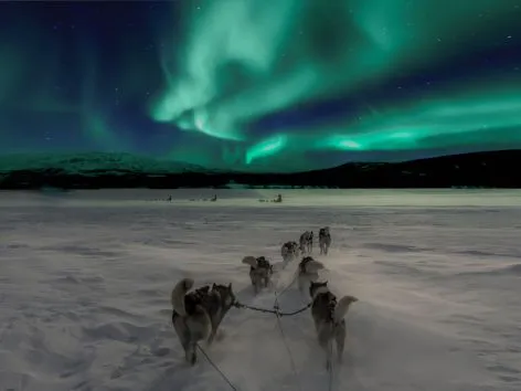 Click here to read about the local DMC Legendary Arctic in Tromso