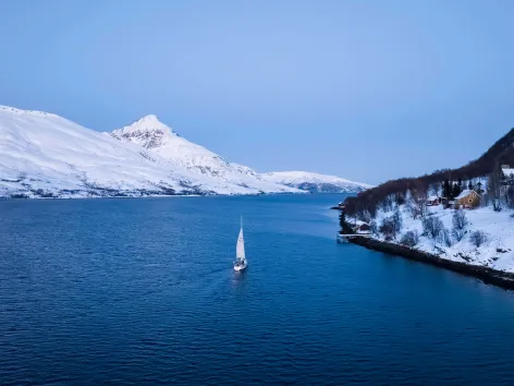 A boat sailing through the fjords