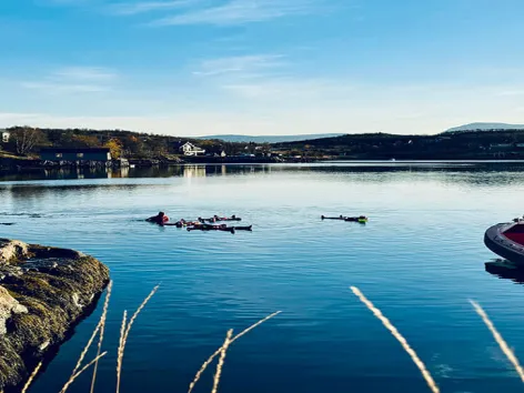 People floating in th arctic water