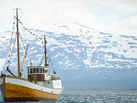 båt Hermes  Tromsø fjellene