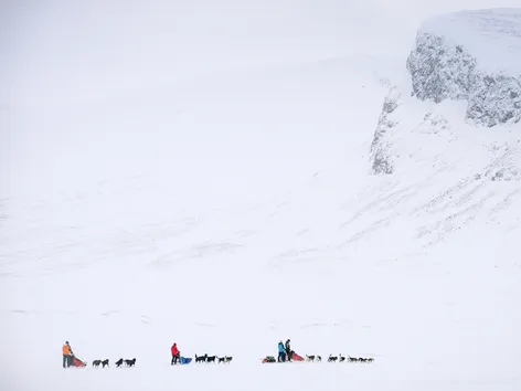 3 sleder trukket av huskyer i det arktiske landskapet