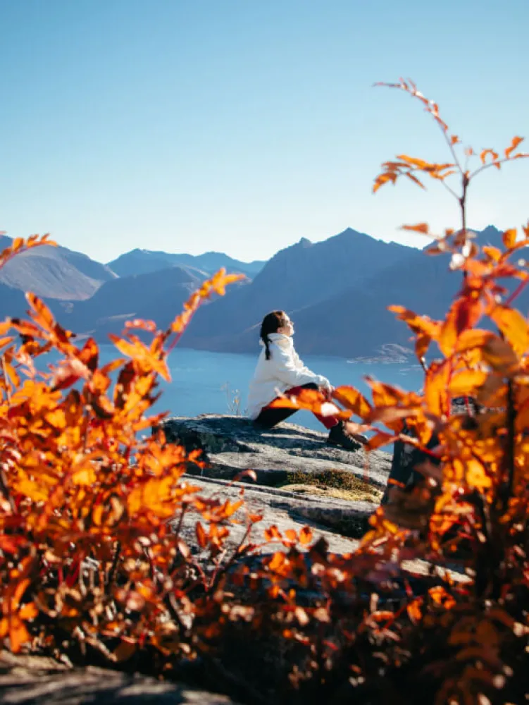 Girl enjoying the view from a mountain top during autumn in Tromso
