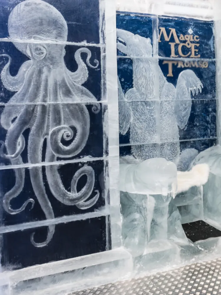 Magic Ice in the center of Tromsø