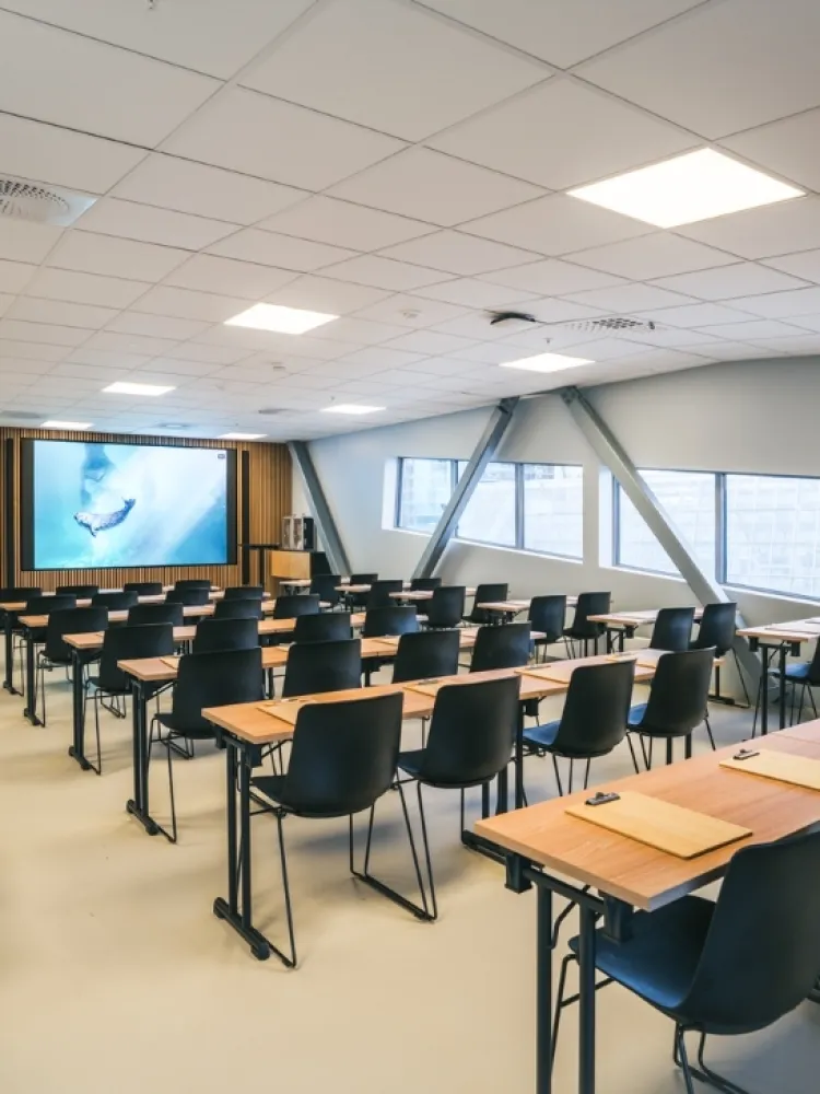 Møterommet Tundra på Polaria i Tromsø, med bord og stoler satt opp i klasseromsoppsett og en projektorskjerm foran i rommet.