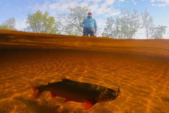 Ferskvannsfiske - privat tur