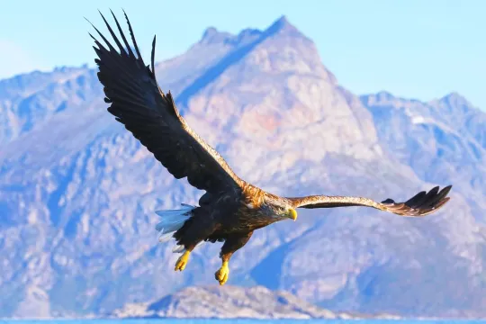 Fjordcruise – privat tur