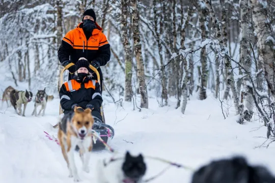 Full speed ahead with the dog sled!