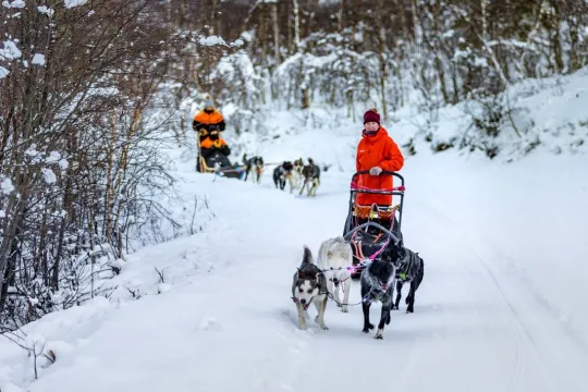Guests sled through the wilderness
