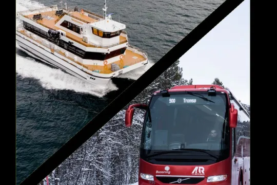 Hvalsafari kombinert med naturskjønn busstur