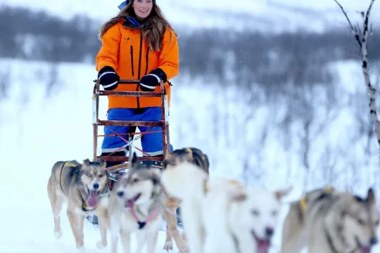 A guest drives the dogs and sled