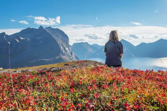 A guest looks out over the view
