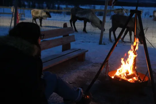 Person ved bål i snødekt landskap med reinsdyr i bakgrunnen.