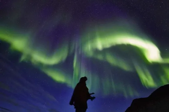 A guest under the northern lights