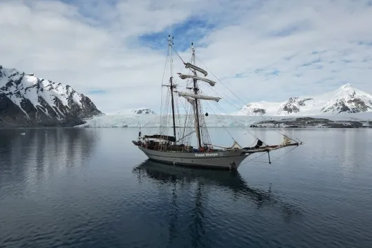 Orca Safari and Northern Lights Tour with S/Y Ocean Sherpa