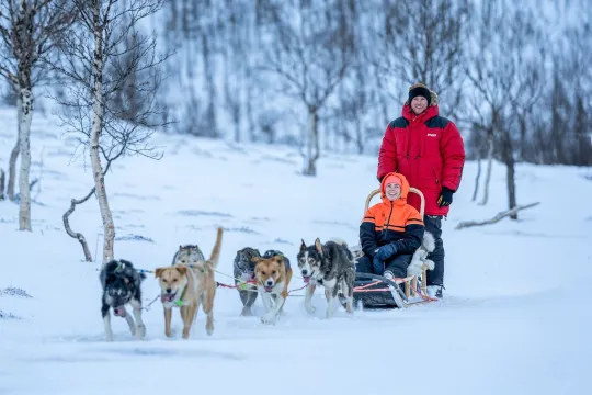 Guests drive dog sled
