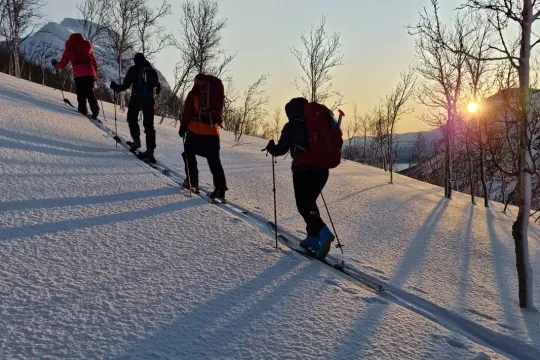 Tromsø Ski Guides Guests walk up a short hill on skis