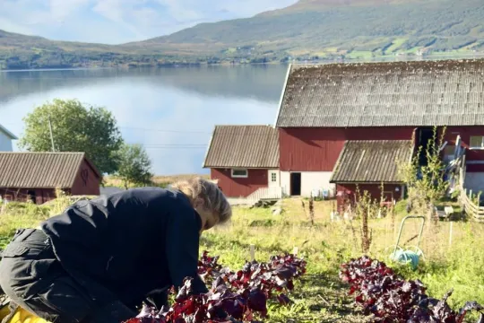 En person som jobber på en gård