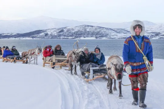 Flere reinsdyrsleder med gjester på