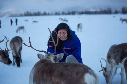 Gjest mater reinsdyr