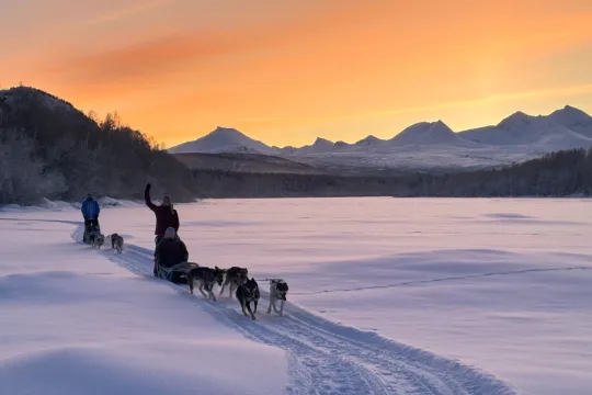 Arctic Dream – Husky Sledding Adventure
