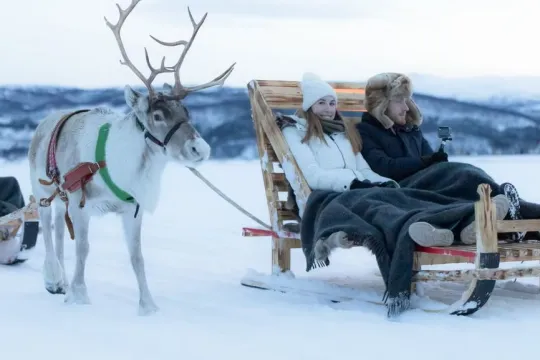 Et par på reinsdyrslede