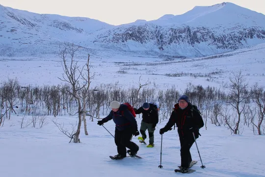 Several people snowshoeing in a winter landscape