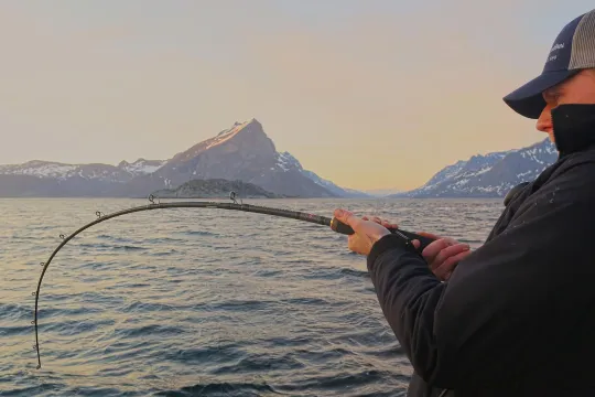 A person fishing from a boat